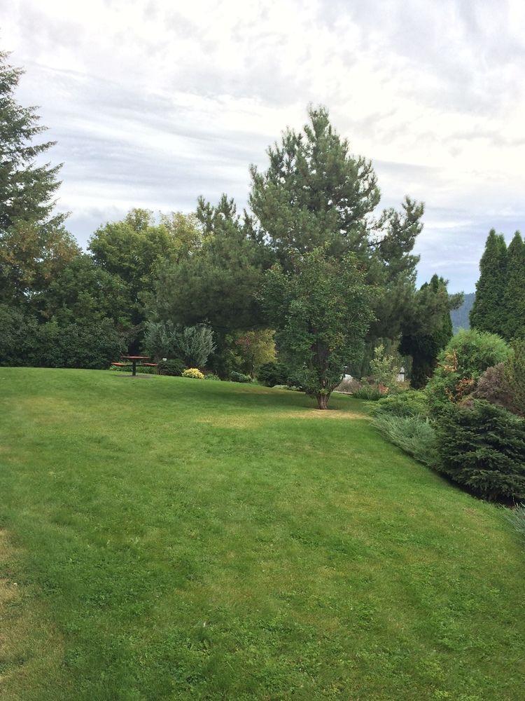 Drummond Lodge Williams Lake Εξωτερικό φωτογραφία